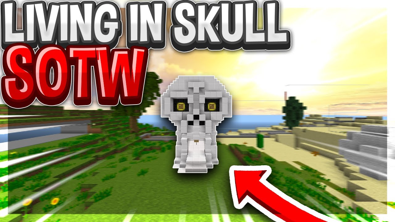 Living in a SKULL SOTW | FiercePvP HCF