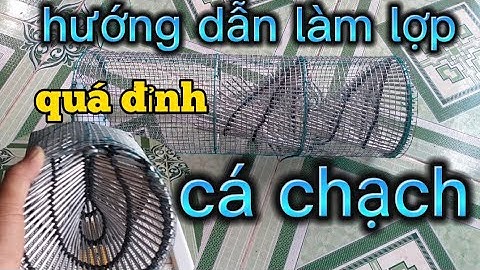 hướng dẫn làm lợp cá chạch