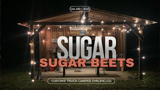 I Made SUGAR from Scratch Using Sugar Beets