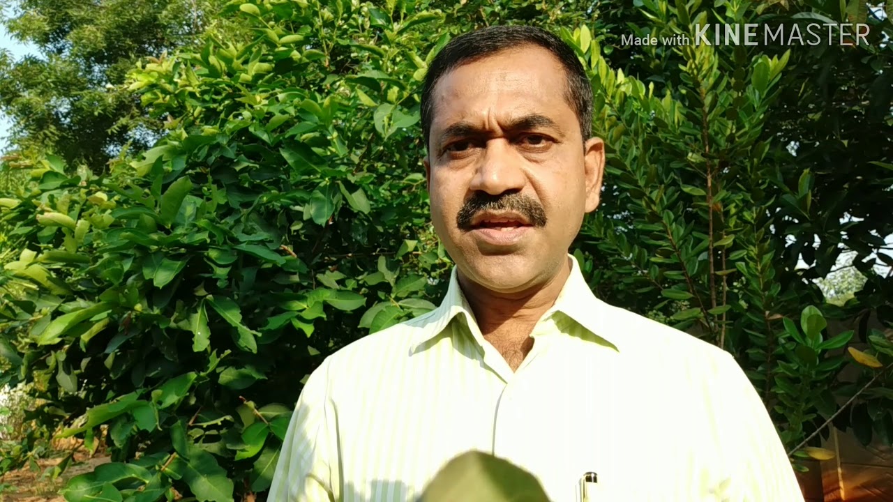 Holistic Life - BANGLA (6): Dr. Prabhat K. Mandal