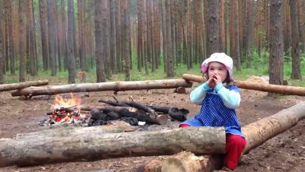 Лесное эхо ютуб канал