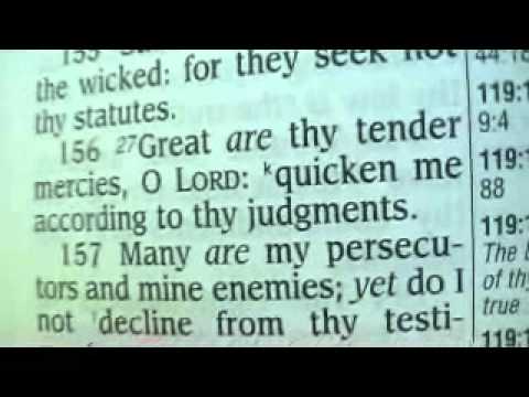 Psalm 119 King James Holy Bible (Resh) - YouTube