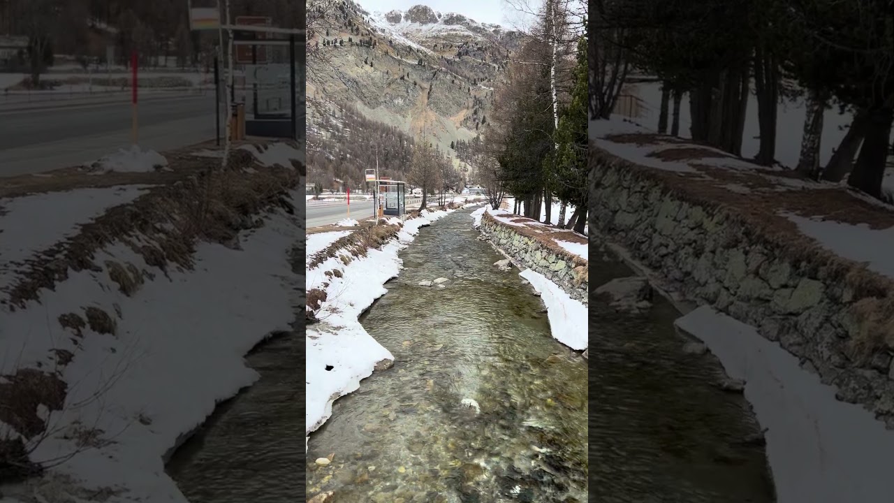 Swiss spring vibes 🌸 