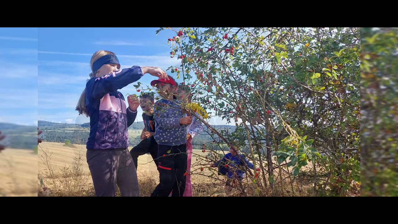 DIDKTICKÉ HRY V PRÍRODE 2024