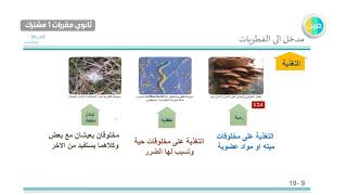 دروس عين | مراجعة الفصل الخامس الفطريات –احياء1 – أول  ثانوي مقررات مشترك  1