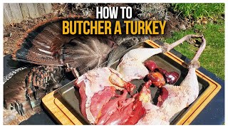 How To Pluck, Butcher and Gut a Turkey | Canada in the Rough | TIP