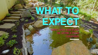 WHAT TO EXPECT: Your New Pond or After A Cleanout