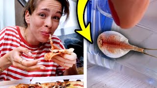 Wir essen 5kg Pizza & NOTFALL bei URZEITKREBS Pupsi! :(