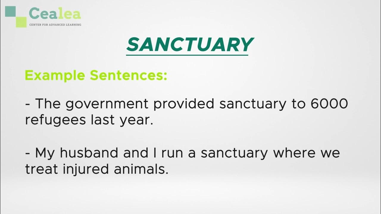 learn-how-to-use-sanctuary-sanctuary-meaning-synonyms-antonyms