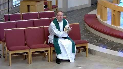 Plotinus (Tiny) the Pig - Eleventh Sunday after Pentecost 2021