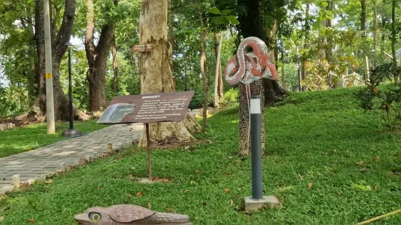 kulathupuzha forest museum 🥰