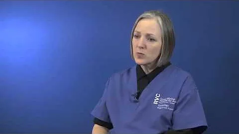 Management of acute Heart Failure in cats (3/3)