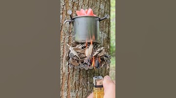 Soap HACKS to Save You Money and Time Now #bushcraft #camping #hacks #survival #skills