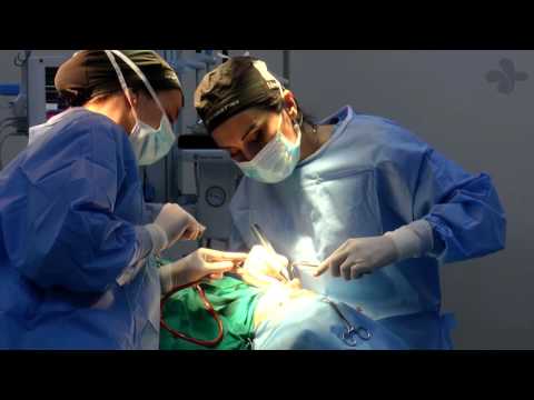 ცხვირის ოპერაცია (ღია მეთოდი) ქირურგი-თამარ მირაშვილი