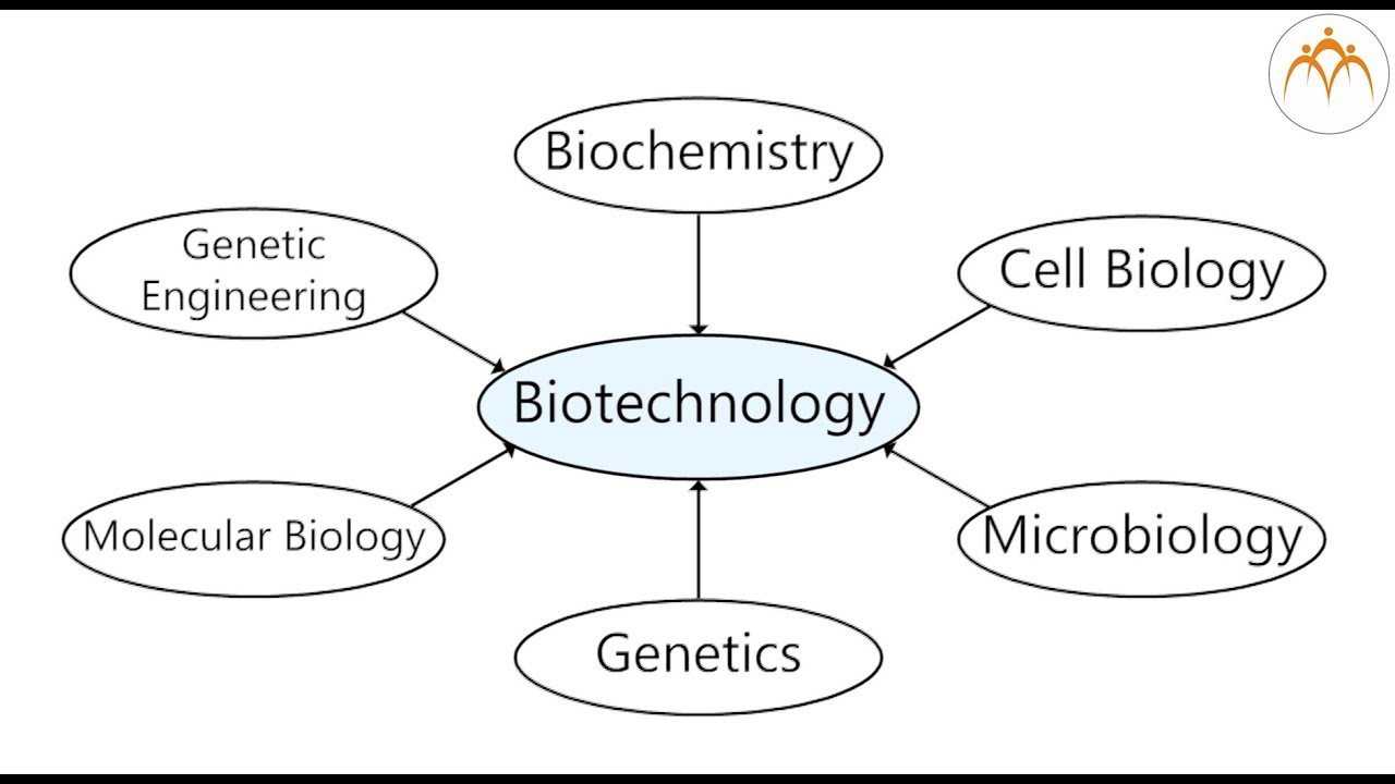 Introduction to biotechnology YouTube