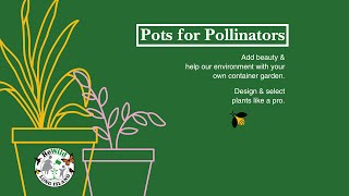 Pots for Pollinators: Planting Containers for Sustenance and Beauty