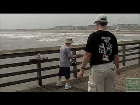 Fishing With Your Piers-Texas Parks & Wildlife [Of...