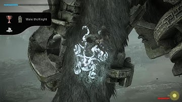 SHADOW OF THE COLOSSUS : Wake the Knight
