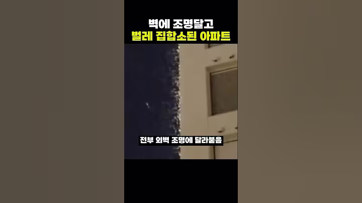 벽에 조명달고 벌레집합소된 아파트