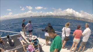 Makani Catamaran Sail June 2016 Youtube