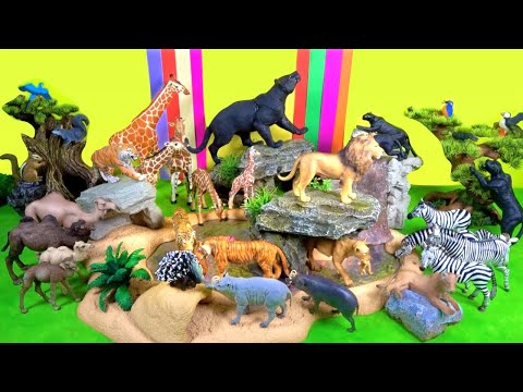 Big Cat Week Lions Tigers Panthers and Wild Zoo Animals - Toys For Kids