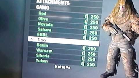 Best Ninja Defuse class set up Wii BO1