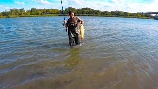 видео: ОСЕННИЙ ЖОР САЗАНА!!!!! МЕГАКЛЁВ ГАРАНТИРОВАН !!!!!!!! картинка: ОСЕННИЙ ЖОР САЗАНА!!!!! МЕГАКЛЁВ ГАРАНТИРОВАН !!!!!!!!