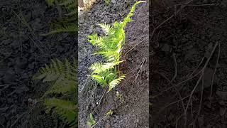 Hepimiz Doğru Insan Arıyoruz Ama Ne Siz Doğrusunuz Nede Biz Hepimiz Yalanla Yaşıyoruz