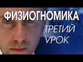 ФИЗИОГНОМИКА ОБУЧЕНИЕ. ПРОФАЙЛИНГ. 3 день обучения