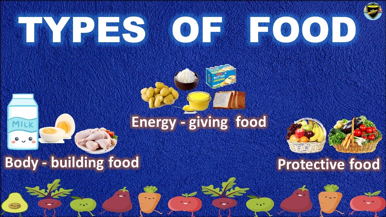 Different Types Of Food | Good Eating Habits | Types Of Food - Youtube