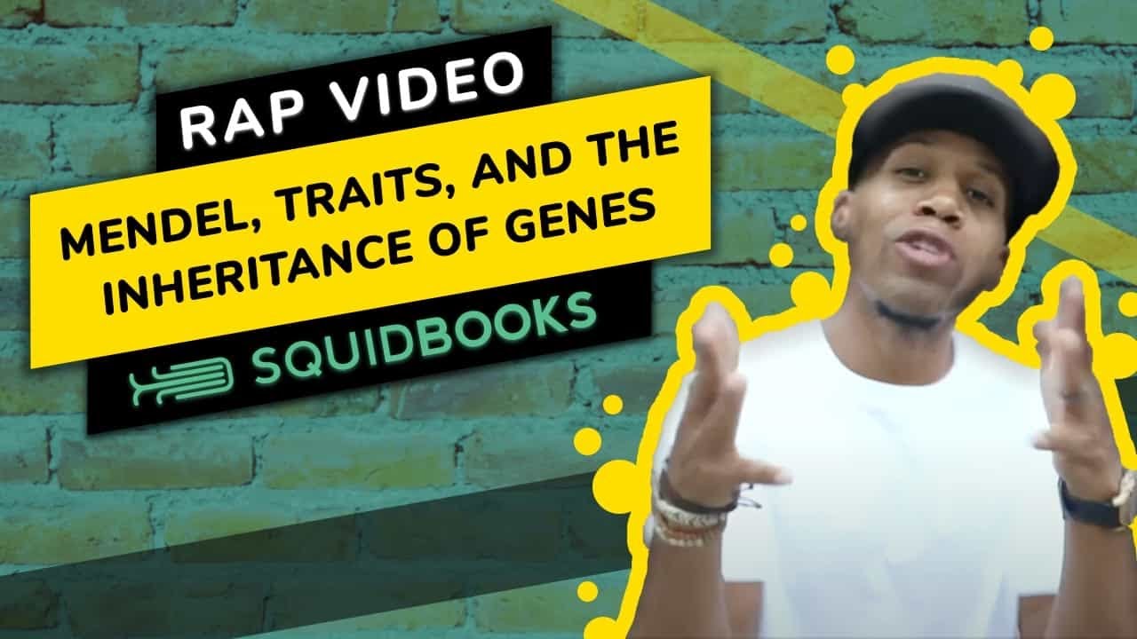 Mendel Traits and the Inheritance of Genes  Rap Video by SquidBooks