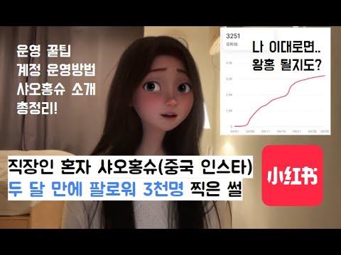 두 달 만에 샤오홍슈 팔로워 3천명 만든 썰 풉니다 (샤오홍슈 소개, 운영방법, 꿀팁 포함) 小红书운영방법, 중국 마케팅, 중국 인스타그램, 중국 SNS, 왕홍