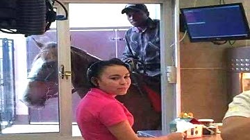 challenge: watch 5 minutes without laughing 😂