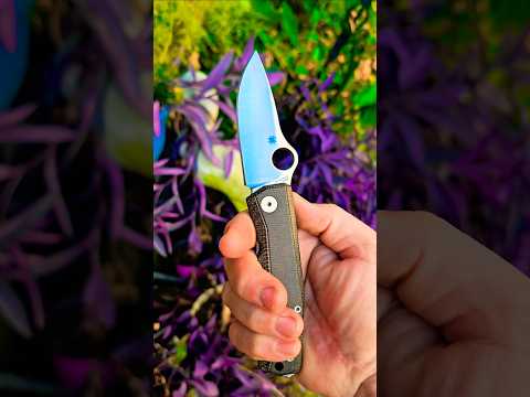 The Spyderco Spymyto in M398 w/t Removable Flipper Tab   