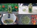 DIY PICKLED NASTURTIUM SEEDS RECIPE / Healthy Recipe
