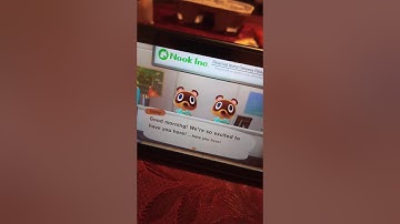 Animals Crossing switch local co op play explained