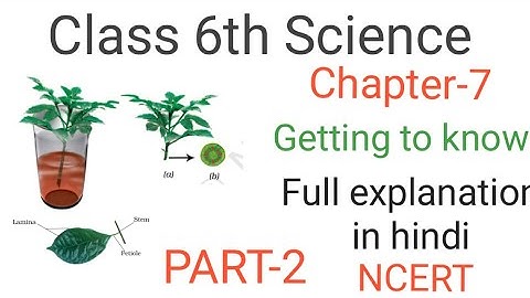 Class 6th Science || Chapter-7 Getting to know plants  🪴 PART-2 #class_6_science#getting_to_know
