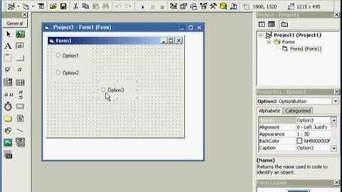 Cara Mudah Belajar Visual Basic 6.0 - Control dan Element Visual Basic - Element Control Option