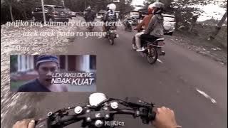 Story' wa aku dewe Yo Ndak kuat Agos kotak|| versi HEReX