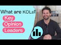 What are key opinion leaders kols