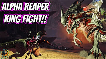 FINAL PREPERATIONS FOR ROCKWELL AND KILLING AN ALPHA REAPER KING!! || Ark Story Unmodded Ep 115!