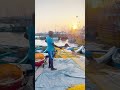வலைதெரிப்பு  #shortsfeed #shorts_#shortvideo #jaffna_tamil