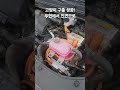고양이 구출 성공!/새끼고양이라 많이 놀란듯/차주분 따님이 데려가기로 함/잘 보살펴 주세요 #카니발KA4 #고양이 #새끼고양이 #언더커버 #인연 #건강함