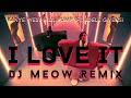 Kanye West & Lil Pump ft. Adele Givens - I love It (DJ Meow Remix)