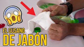 EL GUSANO DE JABÓN, EXPERIMENTOS DE TIKTOK