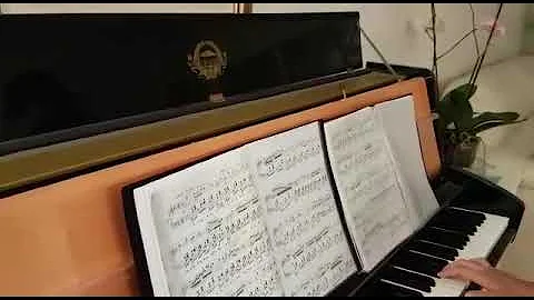 Chopin Nocturne Op 9 No 2 Eilon Tal