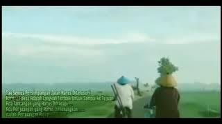 story wa| lika-liku kehidupan