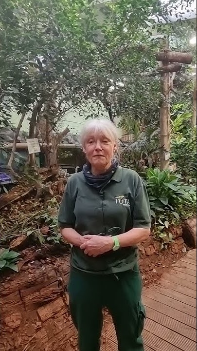 How do sloths defend themselves from predators? - YouTube