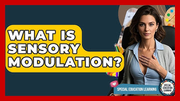 What Is Sensory Modulation? - Special Education Learning