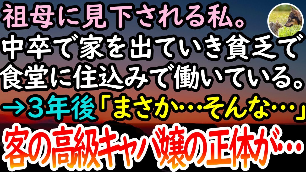感動する話 中卒貧乏の私を あんたはゴミ と見下す祖母 家を出て住み込みで働いていると高級キャバ嬢が来店 失礼ですがあなたの名前って 1枚の写真を見た私は顔面蒼白に 泣ける話 Youtube